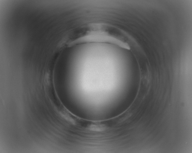 X0000083530556200702091009