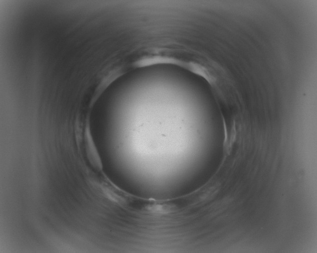 X0000083530558200702091009