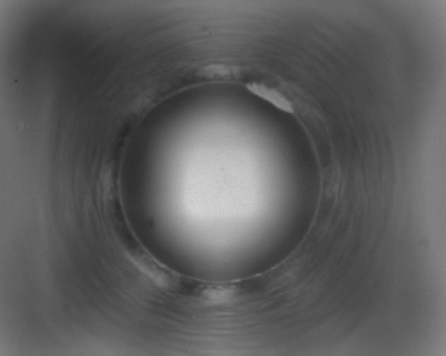 X0000083530560200702091009