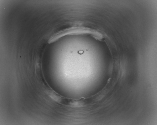 X0000083530561200702091009