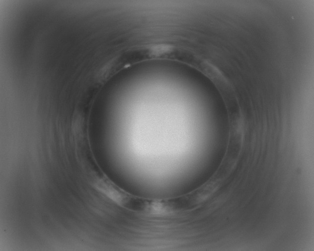 X0000083530565200702091009