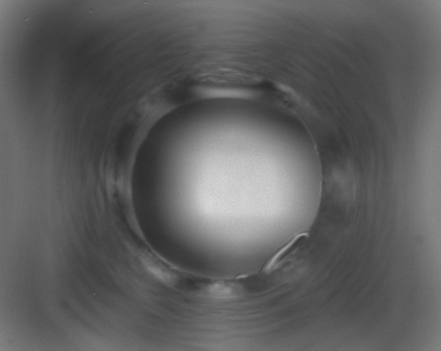 X0000083530566200702091009