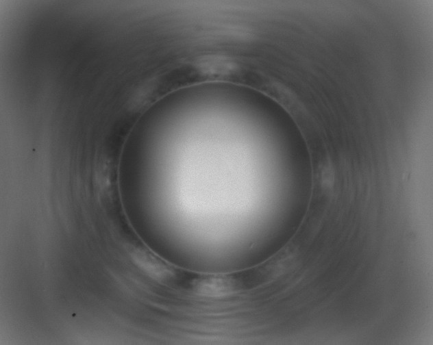 X0000083530567200702091009