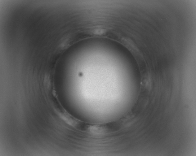 X0000083530568200702091009