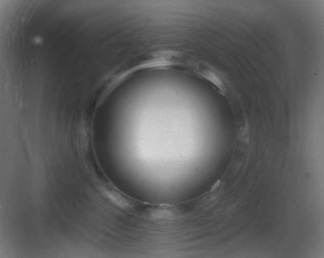 X0000083530572200702091009