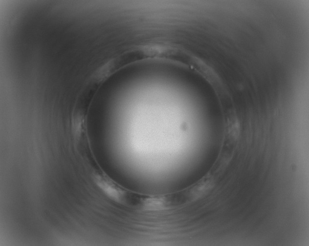 X0000083530574200702091009