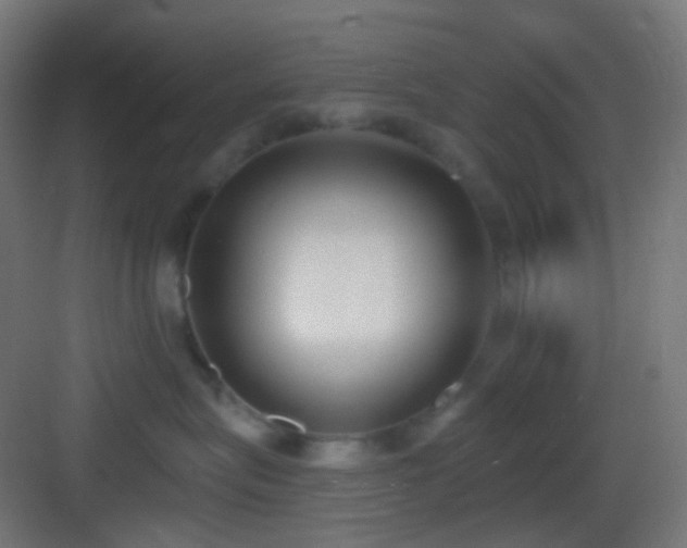 X0000083530575200702091009