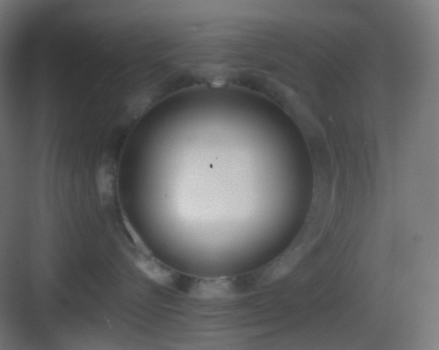 X0000083530576200702091009