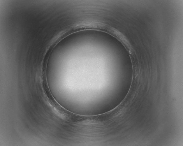 X0000083530578200702091009