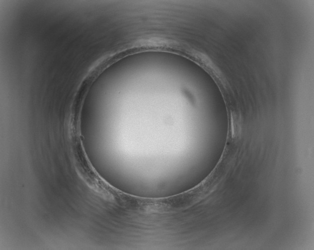 X0000083530579200702091009