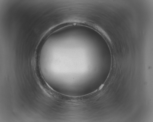 X0000083530580200702091008