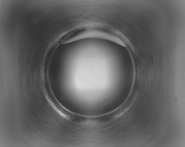 X0000083530581200702091008