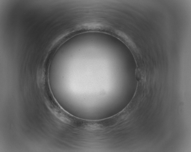 X0000083530583200702091008