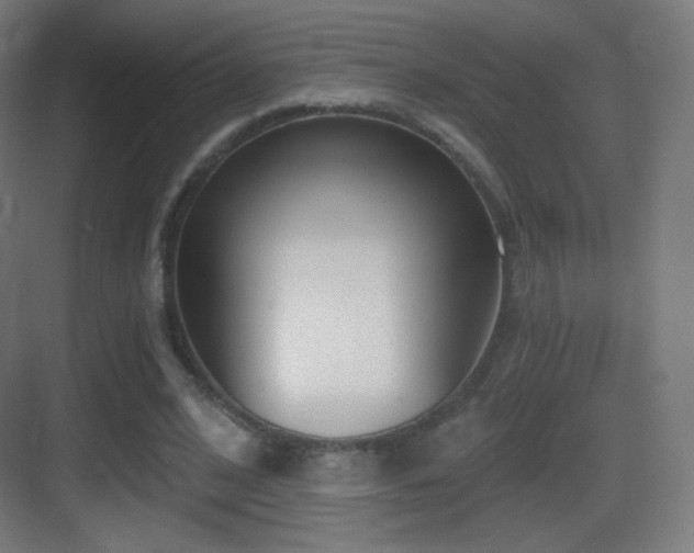 X0000083530584200702091008