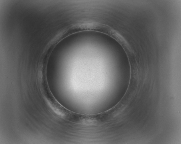 X0000083530586200702091008