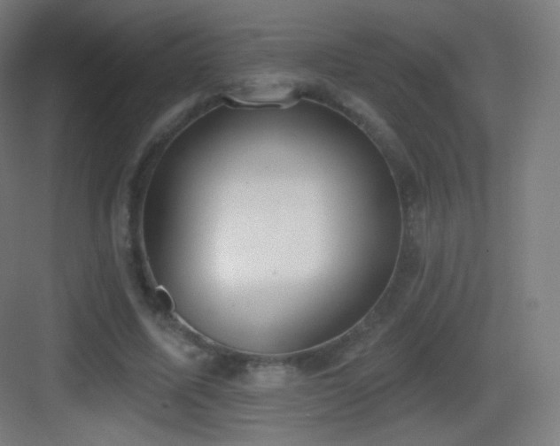 X0000083530587200702091008