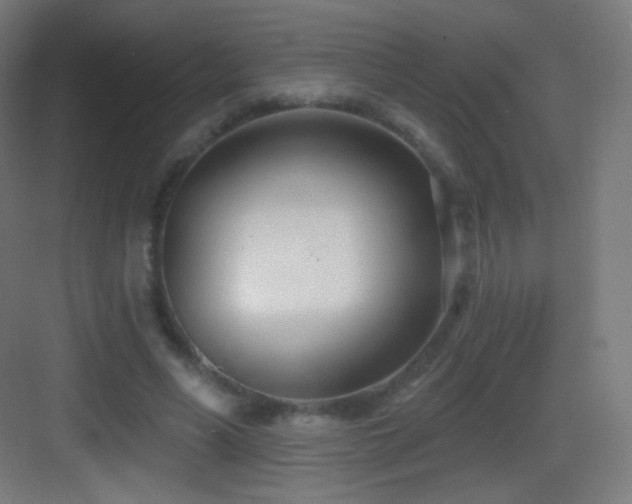 X0000083530590200702091008