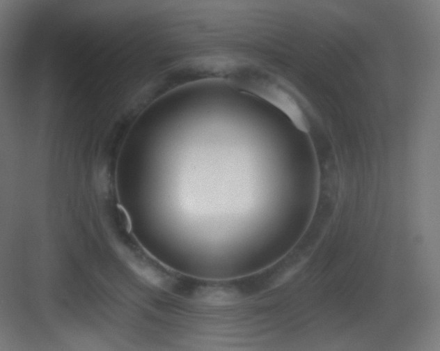 X0000083530597200702091008