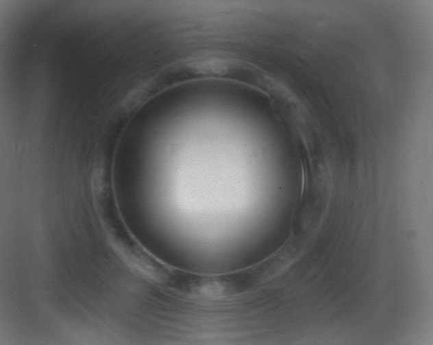 X0000083530600200702091008