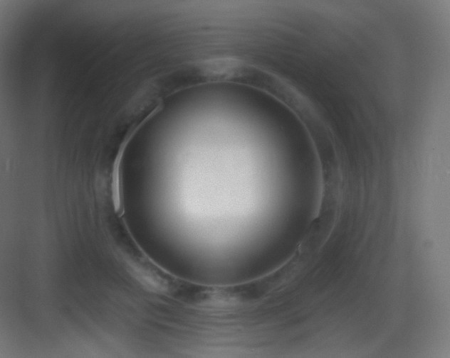 X0000083530601200702091008