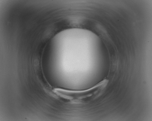 X0000083530603200702091008