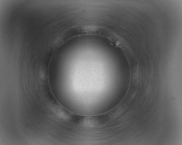 X0000083530608200702091008