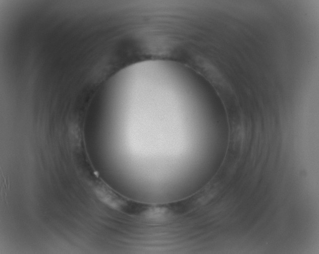 X0000083530609200702091008