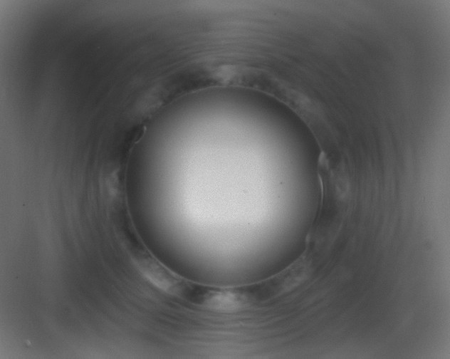 X0000083530611200702091008