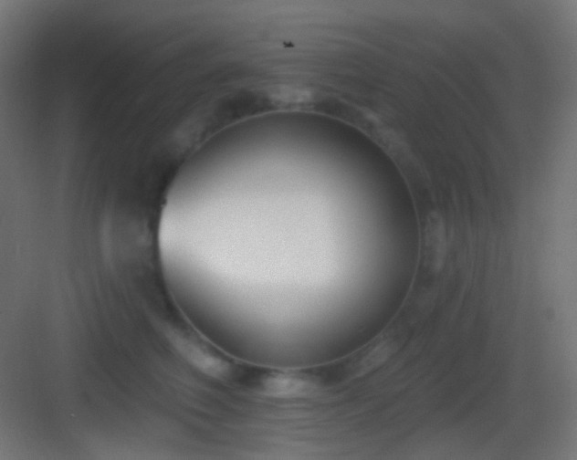 X0000083530614200702091008