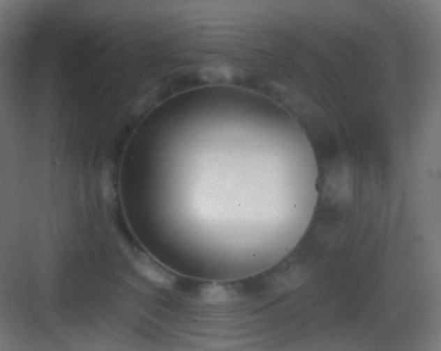 X0000083530616200702091008