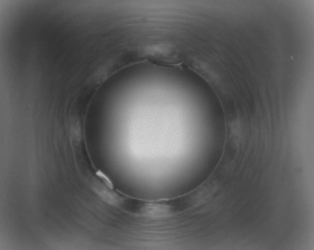 X0000083530617200702091008