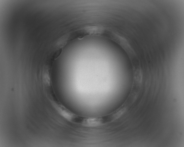 X0000083530622200702091008