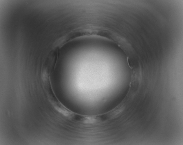 X0000083530623200702091008
