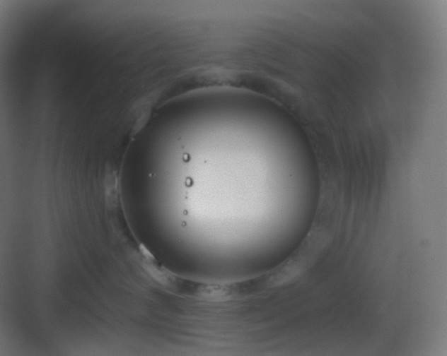 X0000083530624200702091008