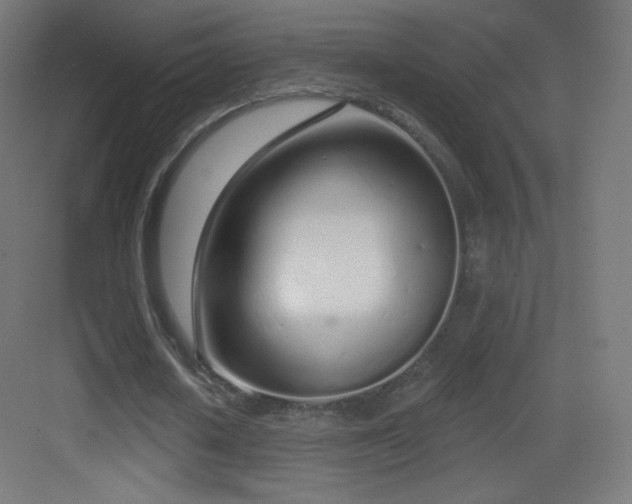 X0000083530626200702091007