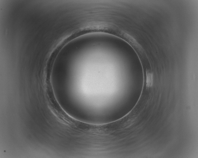 X0000083530627200702091007