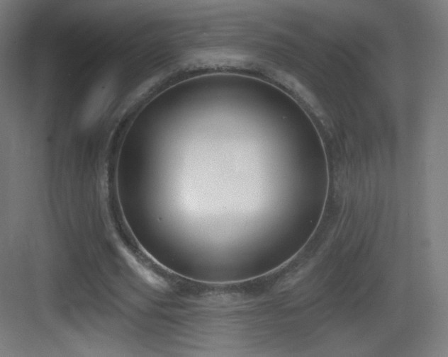 X0000083530629200702091007