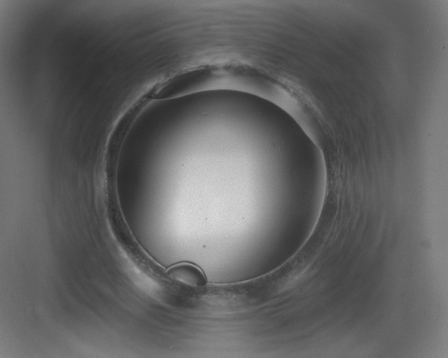 X0000083530630200702091007