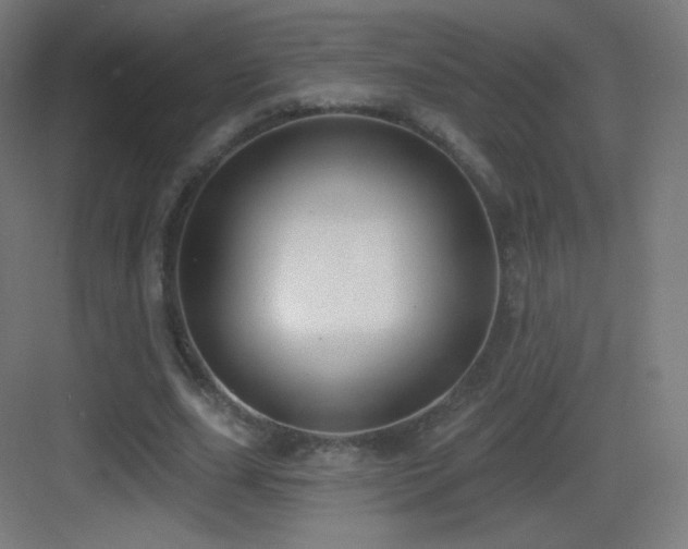 X0000083530631200702091007