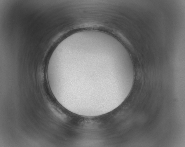 X0000083530632200702091007