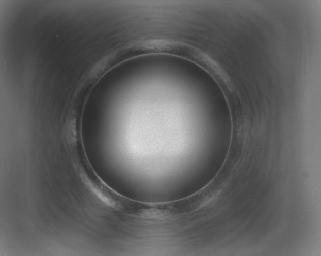 X0000083530633200702091007