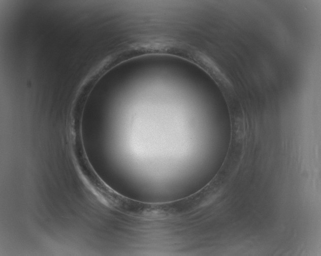 X0000083530634200702091007