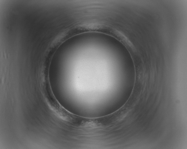 X0000083530635200702091007