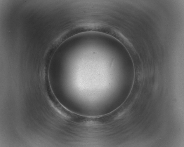 X0000083530637200702091007