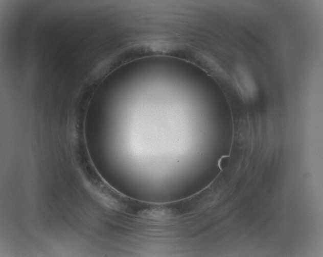 X0000083530639200702091007