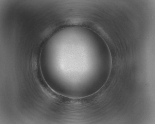 X0000083530640200702091007
