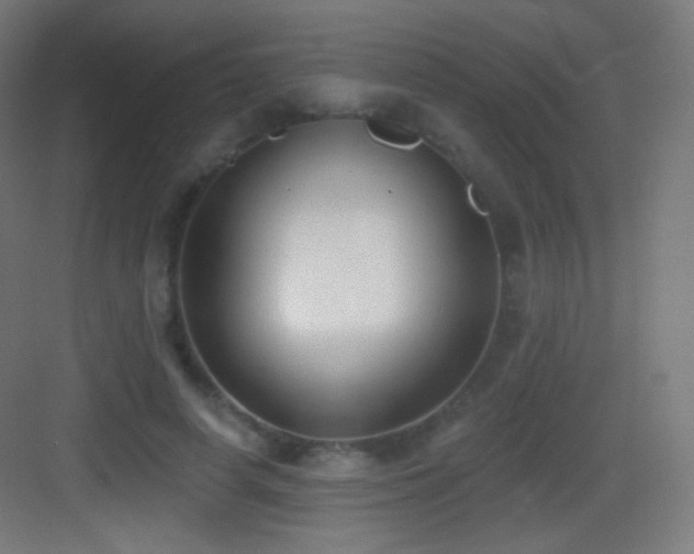 X0000083530642200702091007
