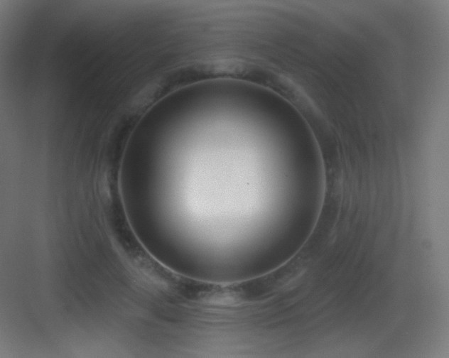X0000083530643200702091007