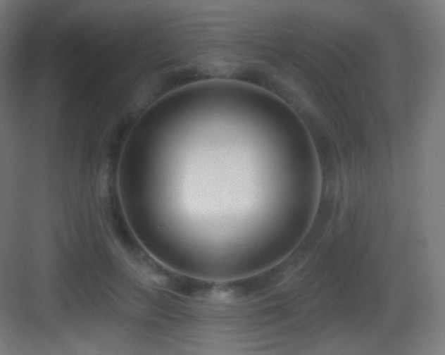 X0000083530647200702091007