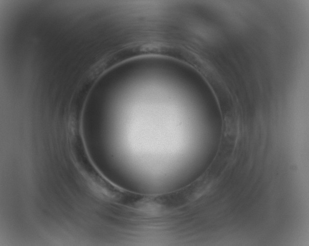 X0000083530648200702091007